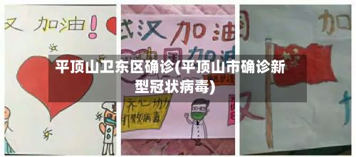 平顶山卫东区确诊(平顶山市确诊新型冠状病毒)