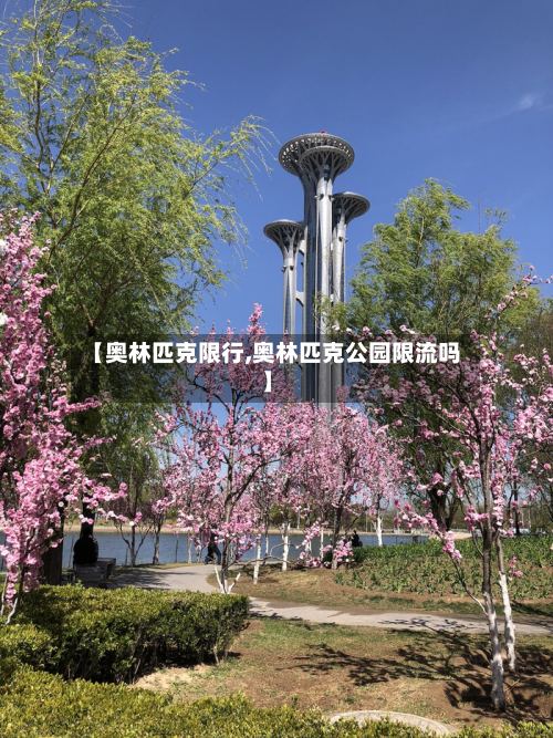【奥林匹克限行,奥林匹克公园限流吗】-第2张图片