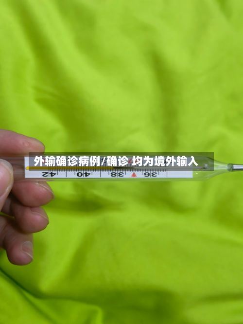 外输确诊病例/确诊 均为境外输入
