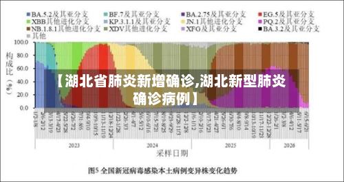 【湖北省肺炎新增确诊,湖北新型肺炎确诊病例】-第3张图片
