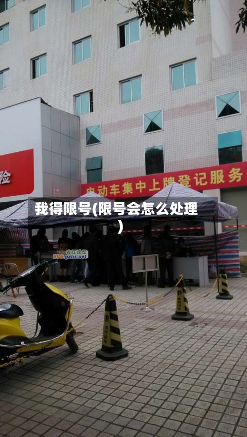 我得限号(限号会怎么处理)