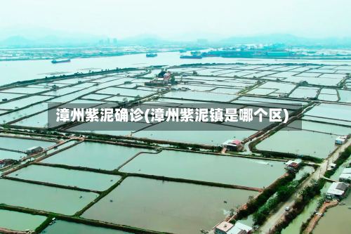 漳州紫泥确诊(漳州紫泥镇是哪个区)-第3张图片