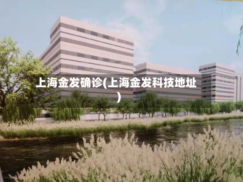 上海金发确诊(上海金发科技地址)-第2张图片