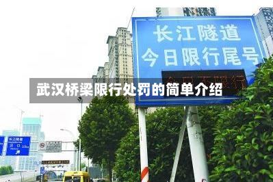 武汉桥梁限行处罚的简单介绍