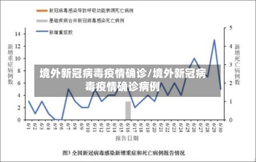 境外新冠病毒疫情确诊/境外新冠病毒疫情确诊病例-第3张图片