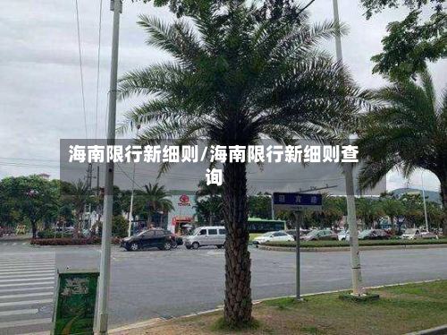 海南限行新细则/海南限行新细则查询-第2张图片