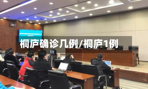 桐庐确诊几例/桐庐1例-第2张图片