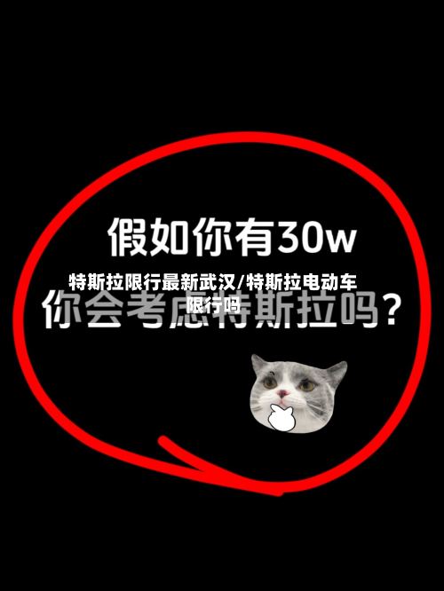 特斯拉限行最新武汉/特斯拉电动车限行吗-第2张图片