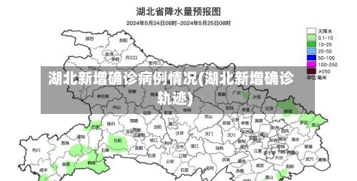 湖北新增确诊病例情况(湖北新增确诊轨迹)